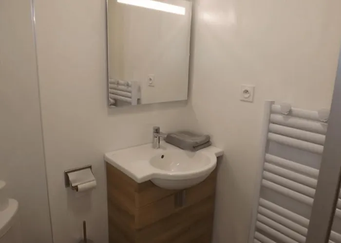 Location 17 Puy Mary Evasion Et Confort Au Coeur Des Volcans アパート Le Claux